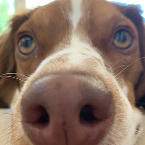 Meet your Posher, Jack